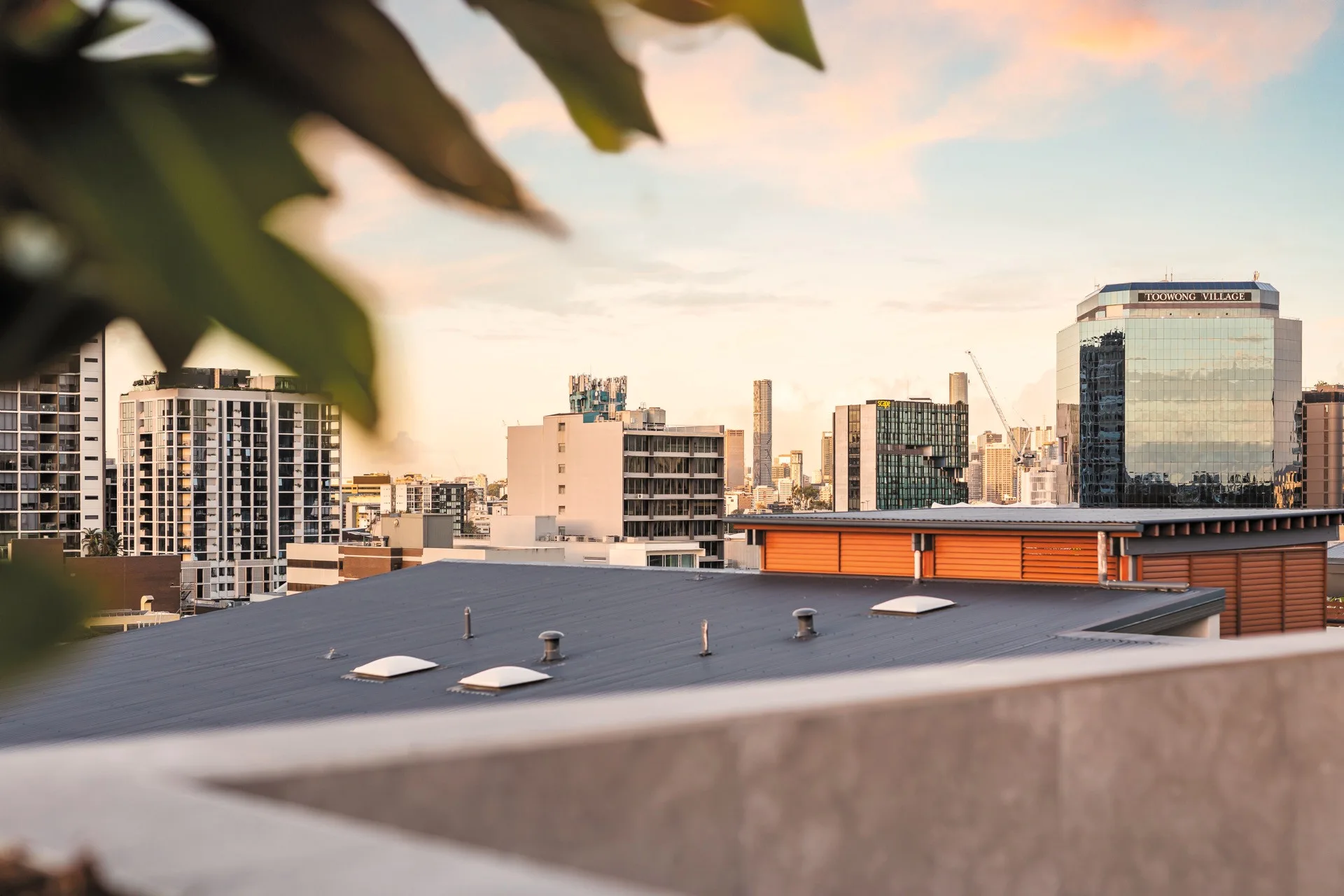 The city skyline, from the top floor